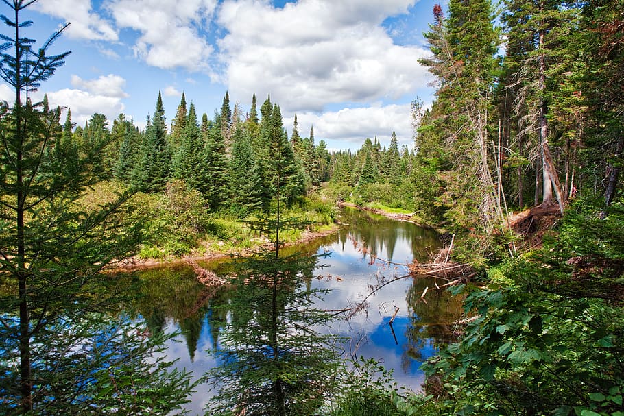 ALGONQUIN PARK: CANADA